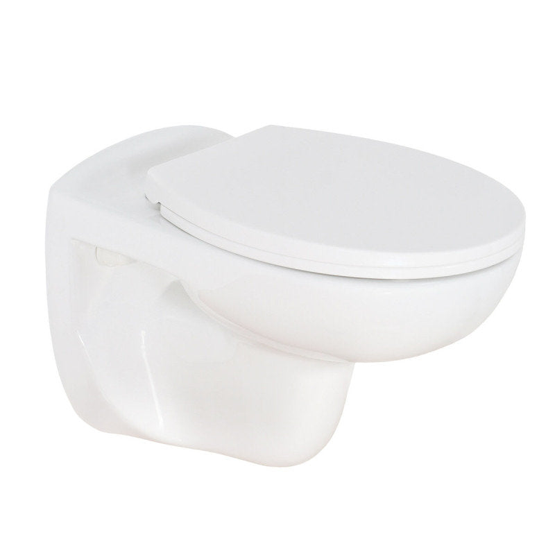 Spülrandloses Wand WC mit passendem Softclose-Deckel