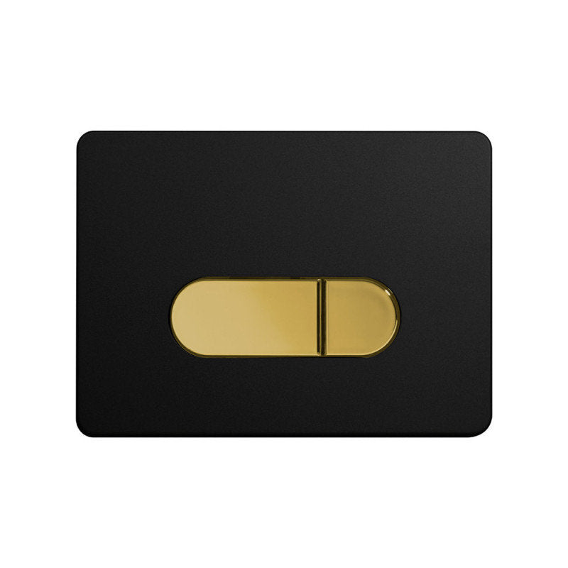 Betätigungsplatte für 2-Mengen-Spülung in Schwarz Matt