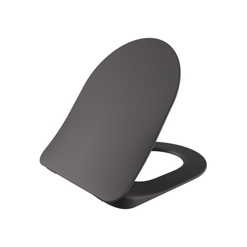 Duroplast WC Sitz flach Edelstahl Scharniere Softclose Anthrazit matt