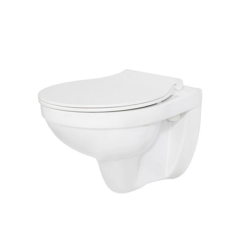 WC Toilette Hänge Wand WC (Rosen Stern) mit Soft-Close Deckel